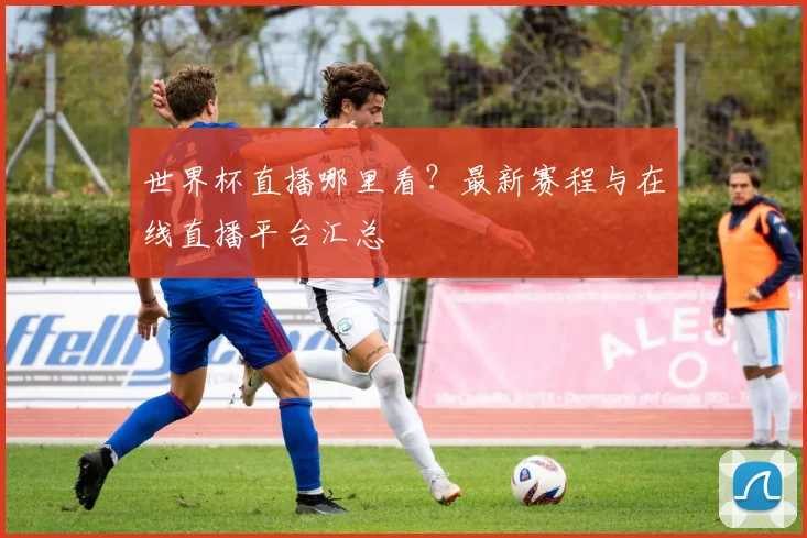 世界杯直播哪里看？最新赛程与在线直播平台汇总