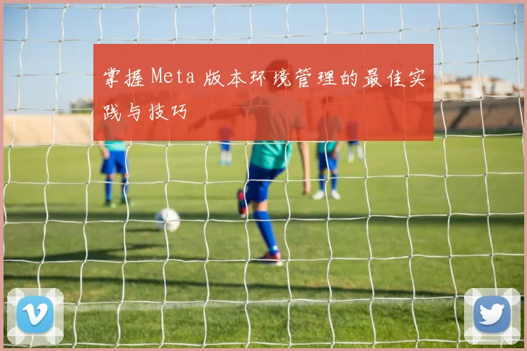 掌握 Meta 版本环境管理的最佳实践与技巧