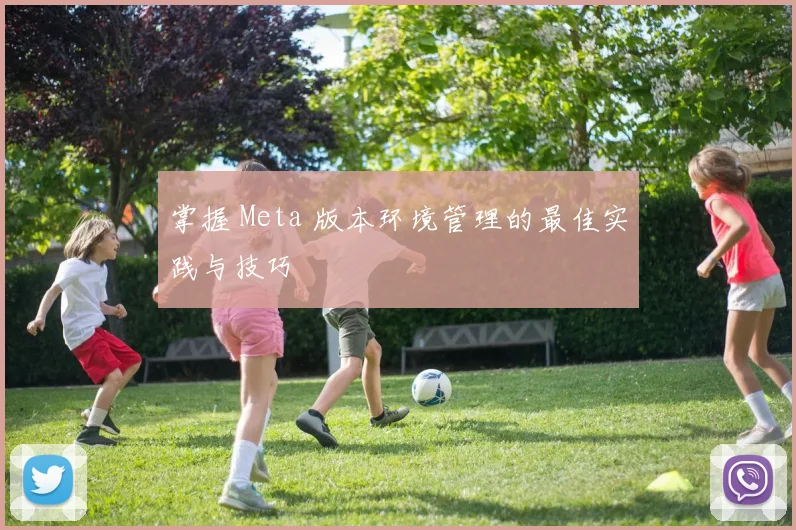 掌握 Meta 版本环境管理的最佳实践与技巧